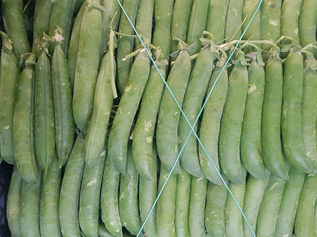 Piselli - Italia - 2,80 euro al chilogrammo